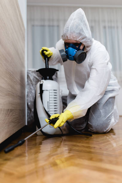 Best Fumigation Services  in East Rochester, NY